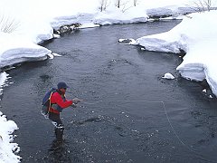 Marvine Creek, Colorado
